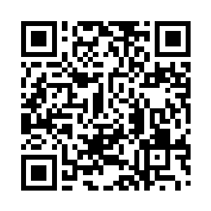 原本大白是属于慕容仙儿打算签订契约的宠物二维码生成