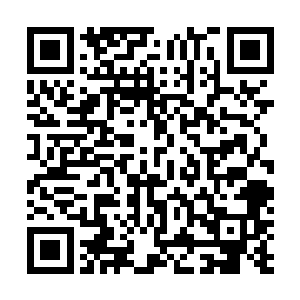 原本天不怕地不怕的变异飞虫仿佛也感觉到了末日的来临二维码生成