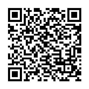 原本她虽然在嘴上答应了土依水和师父要认真对待这次排名赛二维码生成