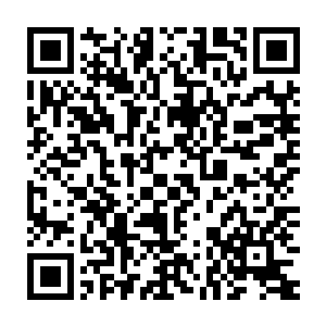 原本姿态在听到这个老家伙如此夸赞一个新人时心里很是有些不以为然二维码生成