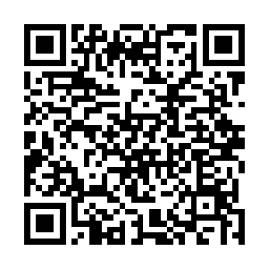 原本安静的沉睡者们纷纷冲自己守护的战略物资冲了过去二维码生成