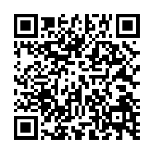 原本寄予厚望的一脸牛逼哄哄的金发青年竟然这般不中用二维码生成