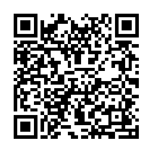 原本密集的刀影此时也是完全变成了她穿梭的通道二维码生成