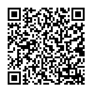 原本对林烽这个擂台没有持着多少把握的众人这会儿目光全部都放在了擂台上二维码生成