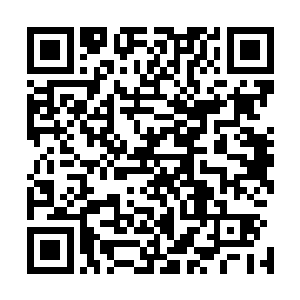 原本将近三十个血斧的成员一个个全都横七竖八的躺在周围二维码生成