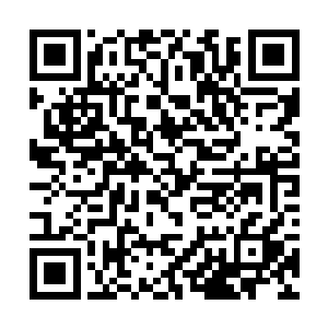 原本就是个深藏不露的高手……只不过师尊向来谨慎二维码生成