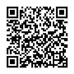 原本就是用来充当诱饵的疲惫的声音自然也就忘记了假装二维码生成