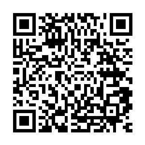 原本就最适合人类使用任何一种人形智慧生命在设定长度单位时二维码生成