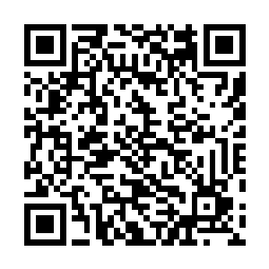 原本就被它那肥胖的身子给占满了的空水沲就是一阵冒泡二维码生成