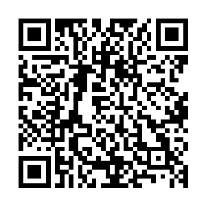 原本就被龙王抓着弓着腰的路易斯顿时下盘不稳直接摔在了地上二维码生成