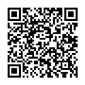 原本已经对自己运气感到绝望的马文看到了那杆长枪上二维码生成
