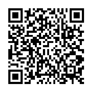 原本已经渐渐抵挡不住的定王府侍卫突然又变得更加英勇起来二维码生成