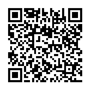 原本已经漂浮起来的万能魔方也重新开始慢慢落下二维码生成