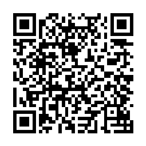 原本已经碎成骨头渣子的骨皇也终于开始重组再生二维码生成