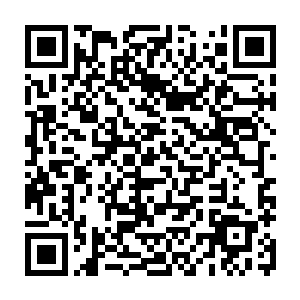 原本已经被九龙镇魂大阵还有九阳诛邪大阵压制的恶龙之魂忽然间气势暴涨二维码生成