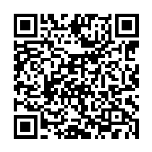原本平静的肚皮在他的注视下突然鼓起一个小小的包二维码生成