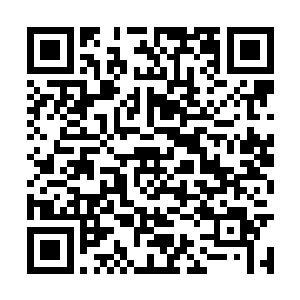 原本并未太在意她的流墨墨和雪如楼却是神色微异二维码生成