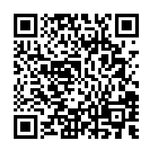 原本形六变成的白角少年可以把他们当作自己的奴隶带进去二维码生成
