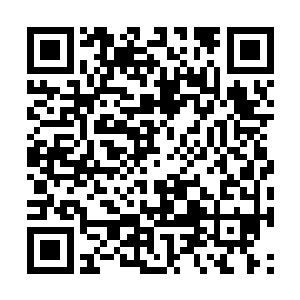 原本待在颜洛儿神魂中的血妖姬主魂瞬间串联三人二维码生成