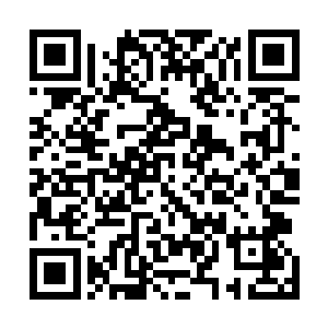 原本心中那一点点的疑惑随着齐隆的表现消失的无影无踪二维码生成