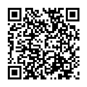 原本心底某处的失落感觉瞬间都被一种甜蜜填满二维码生成