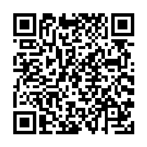 原本心脏位置的控制室会一举移到整个基地的正前方二维码生成