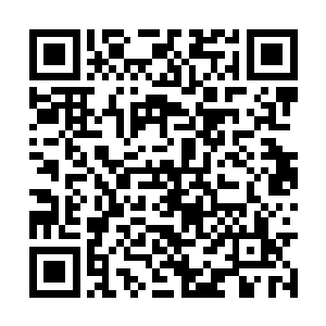 原本恍若一体的万能魔方上也浮现出无数横竖条纹二维码生成