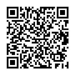 原本想将拓也的柔体和凌风等人留在外面的想法立即破灭了二维码生成