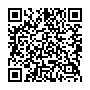 原本想怒骂的赵老太也只能硬生生忍下这口气了二维码生成