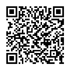 原本想着说了任务那些感兴趣的目光应该收回去二维码生成