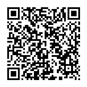 原本想跟在副殿主身后大青蛇殿威风的青蛇殿弟子个个都吓得肝胆欲裂二维码生成