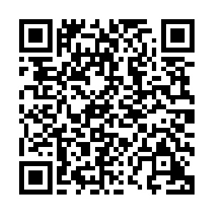 原本慢慢策马向前的刘轻寒这个时候似乎轻轻的勒了一下缰绳二维码生成