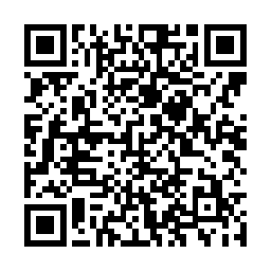 原本我以为你只是一个简单的喜欢追求金钱的明星二维码生成