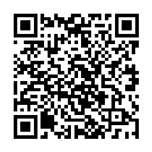 原本我还以为可以让这些火炮持续给莱塔城施加压力二维码生成