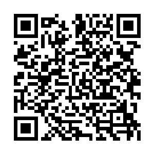 原本所有炼药师的假想敌都是南宫飞羽和冷香凌二维码生成