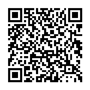 原本按照鬼王萧腾的打算是在平云山顶设一个记二维码生成