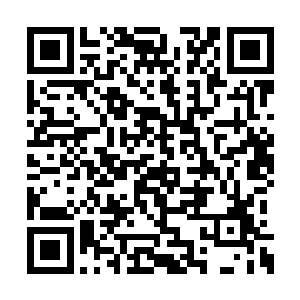 原本控制得很好的阴气也从经脉里再次涌向四肢二维码生成