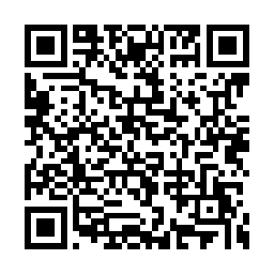 原本掩埋在地底的一座古墓也因此而显露了出来二维码生成