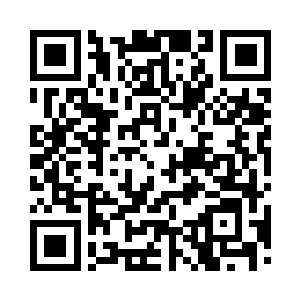 原本支离破碎的大树竟然再一次缓缓的成型二维码生成