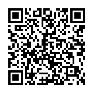 原本放在角落里给薄荷睡的小牀已经被搬了出来二维码生成