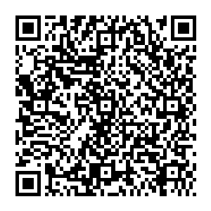 原本故意把路口照亮给新婚夫妇的两条灯柱让所有外面的宾客都看见那白色车身前后保险杠都破烂歪斜的模样二维码生成