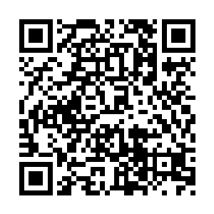 原本整个大殿基本上都是被大大小小的禁制覆盖二维码生成