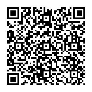 原本整齐成排站定的凡人们也迅速在标示到自己身上的神识提醒下明白了自己将来的命运二维码生成