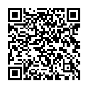 原本无人居住的岛屿再加上八大家族的所贡献出来的二维码生成