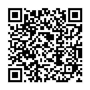 原本无法侵入的妖力通过阵法却是轻松进入土地内部二维码生成