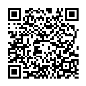 原本早就说好了主要领导不参加下边区委的总结会二维码生成