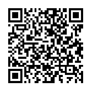 原本是准备去寻找一处有能力维修星舰外壳的港口二维码生成