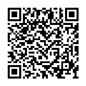 原本是想用来整治曾经得罪过他的四大宗派弟子二维码生成