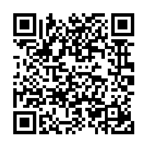 原本暴戾的铁甲兽眼中顿时也是散发出一股无比惊恐的神情二维码生成