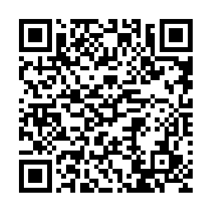 原本曾经击伤过圣域强者的那一丝骄傲在现在消失的无影无踪二维码生成